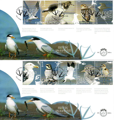 3849-58-E809AB Natuur Kustvogels 2020