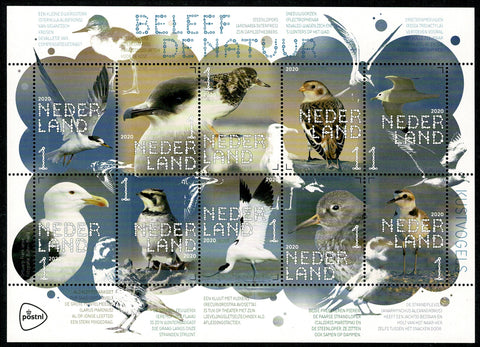 3849-58 Natuur Kustvogels 2020