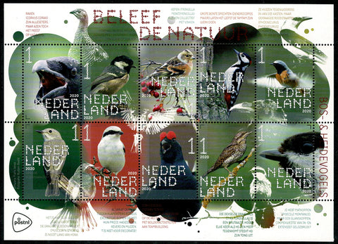 3865-74 Natuur Tuinvogels 2020