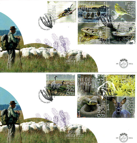 3899-08-E818AB Natuur Dwingelderveld Nederland 2021