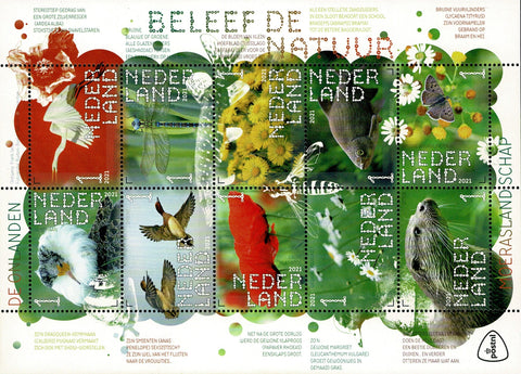 3910-19 Natuur de Onlanden Nederland 2021