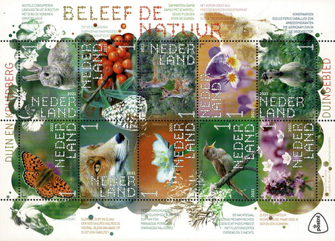 3929-38 Natuur Duin en Kruidberg Nederland 2021