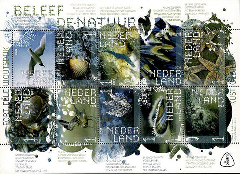 3991-00 Natuur Fort Ellewoutsdijk Nederland 2022