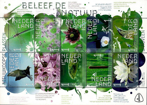 4002-11 Natuur Nieuwkoopse Plassen Nederland 2022