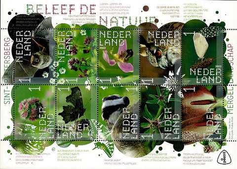 4029-38 Natuur Sint-Pietersberg Nederland 2022