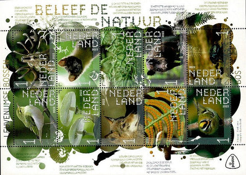 4042-51 Natuur Leuvenumse Bossen Nederland 2022