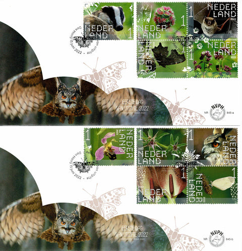 4029-38-E845AB Natuur Sint-Pietersberg Nederland 2022