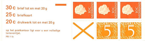 Nederland PzB11b