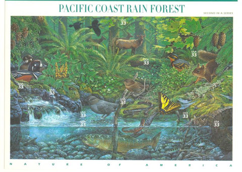 02 PacificCoast  Rain Forest