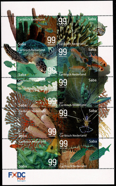 Saba2017-2 Onderwaterwereld (125/34)