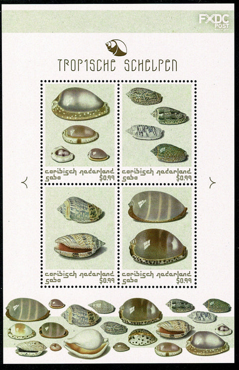 Saba2018-1 Tropische Schelpen (149)