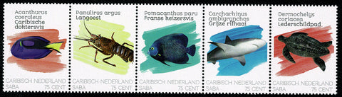 Saba2020-1 Zeedieren (252/55)