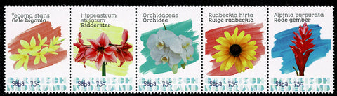 Saba2020-2 Flora (256/60)