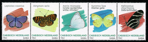 Saba2020-3 Vlinders (261/65)
