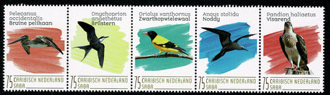 Saba2020-4 Vogels (266/70)