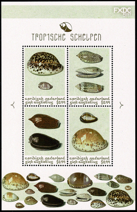 St. Eustatius 2018-1 Tropische Schelpen (150)