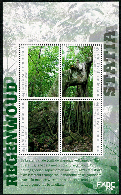 St. Eustatius 2018-3 Regenwoud (156)