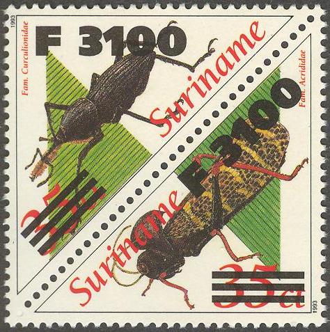 Suriname2000_20