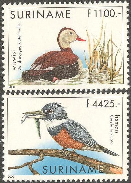 Suriname2000-4
