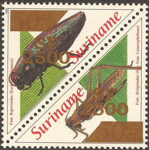 Suriname2001_17