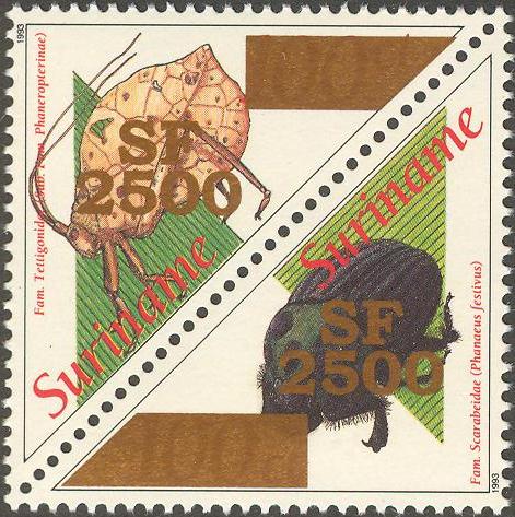 Suriname2002_15