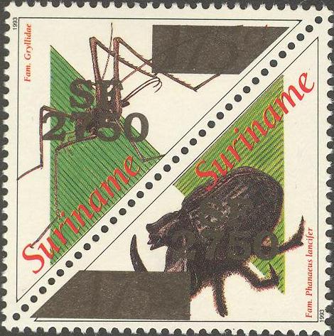 Suriname2002_16