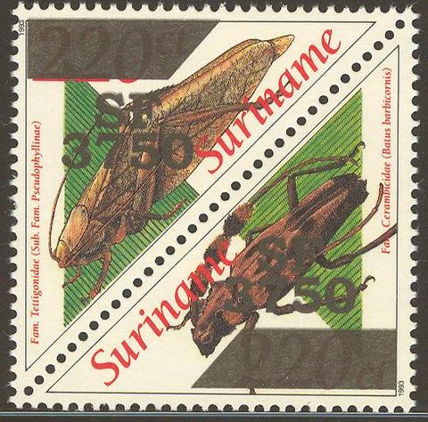 Suriname2002-7