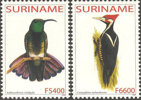 Suriname2003-6