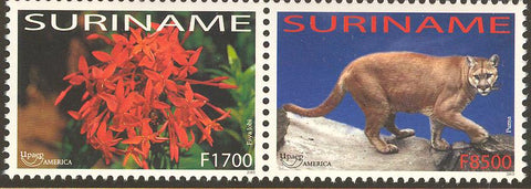 Suriname2003-8