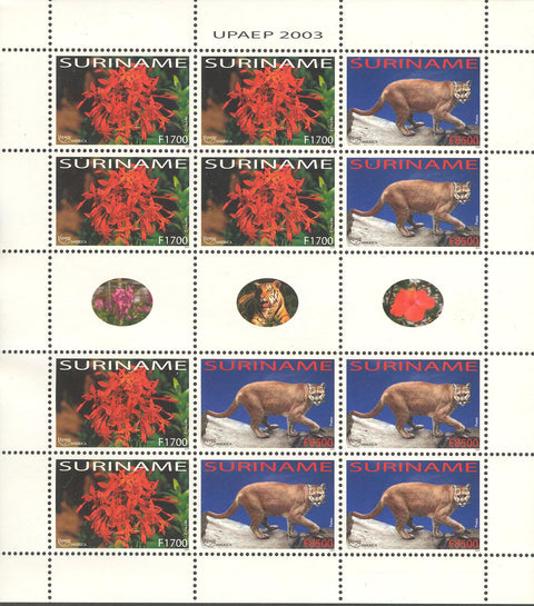Suriname2003-8ms6
