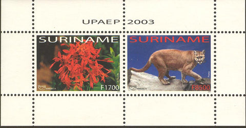 Suriname2003-9