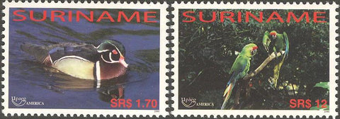 Suriname2004-7