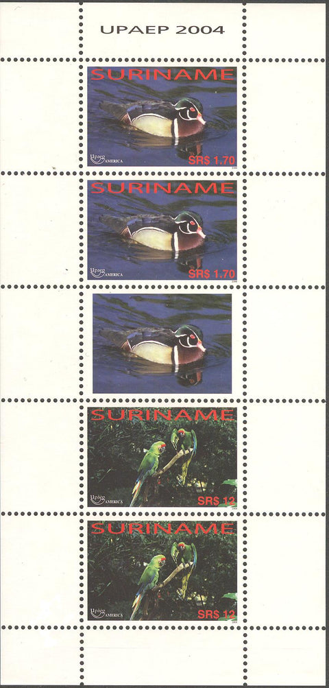 Suriname2004-7ms6
