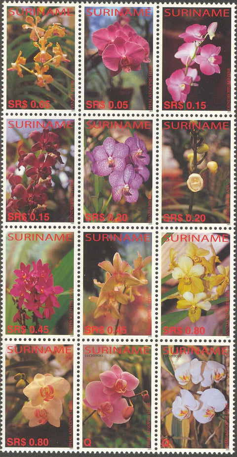Suriname2005-4