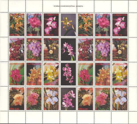 Suriname2005-4ms4