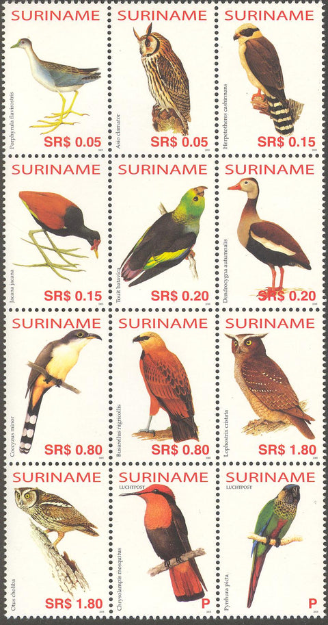 Suriname2005-7