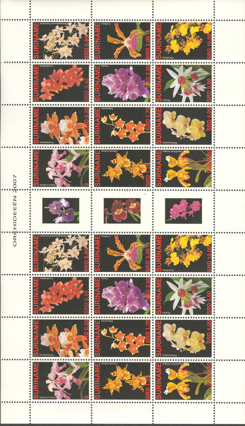 Suriname2007-1ms1