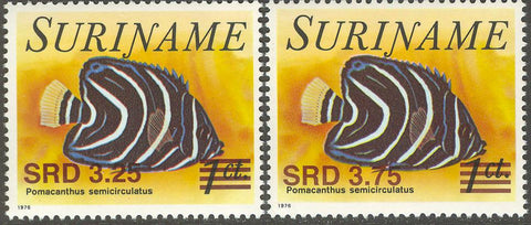 Suriname2006_11