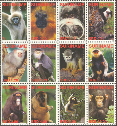 Suriname2006_12