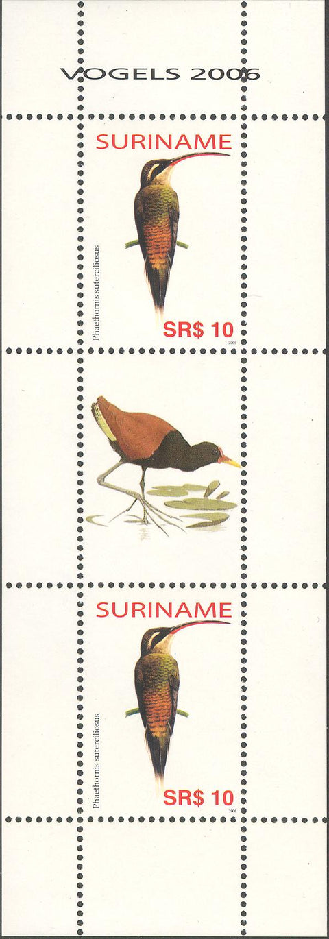 Suriname2006_13ms8