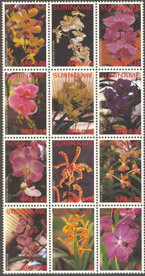 Suriname2006-3