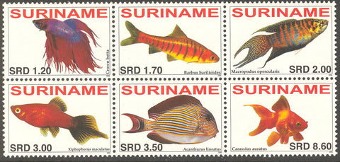Suriname2006-8