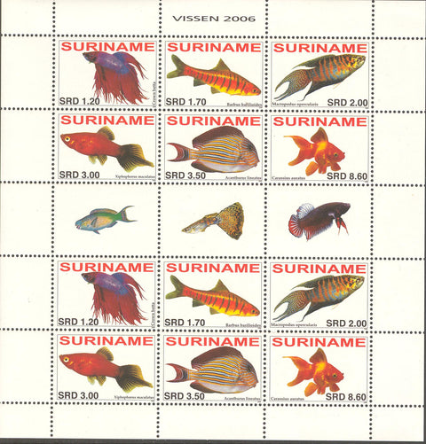 Suriname2006-8ms5