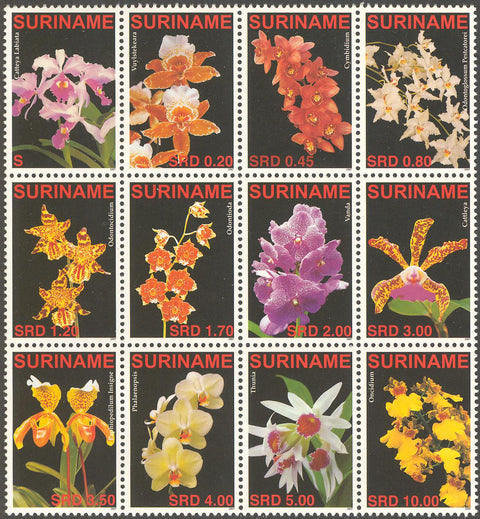 Suriname2007-1