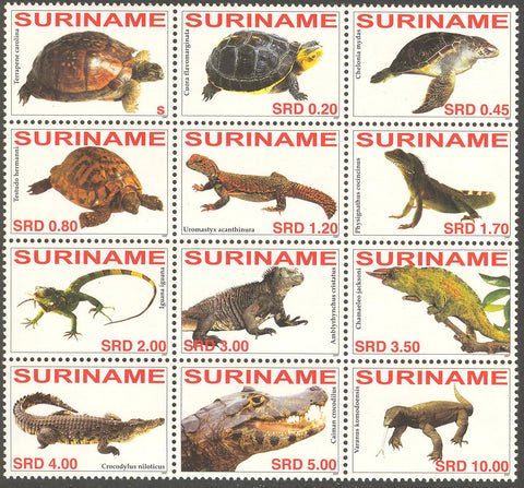 Suriname2007-3