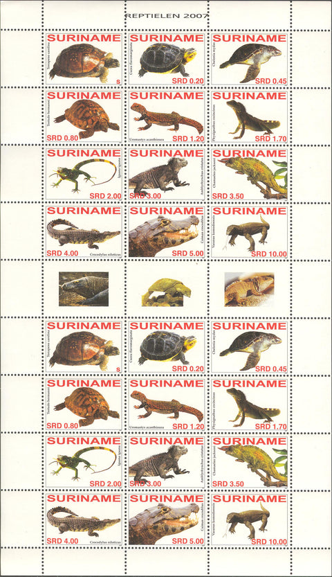 Suriname2007-3ms3