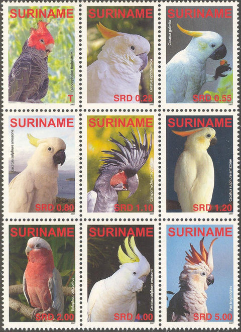 Suriname2007-4