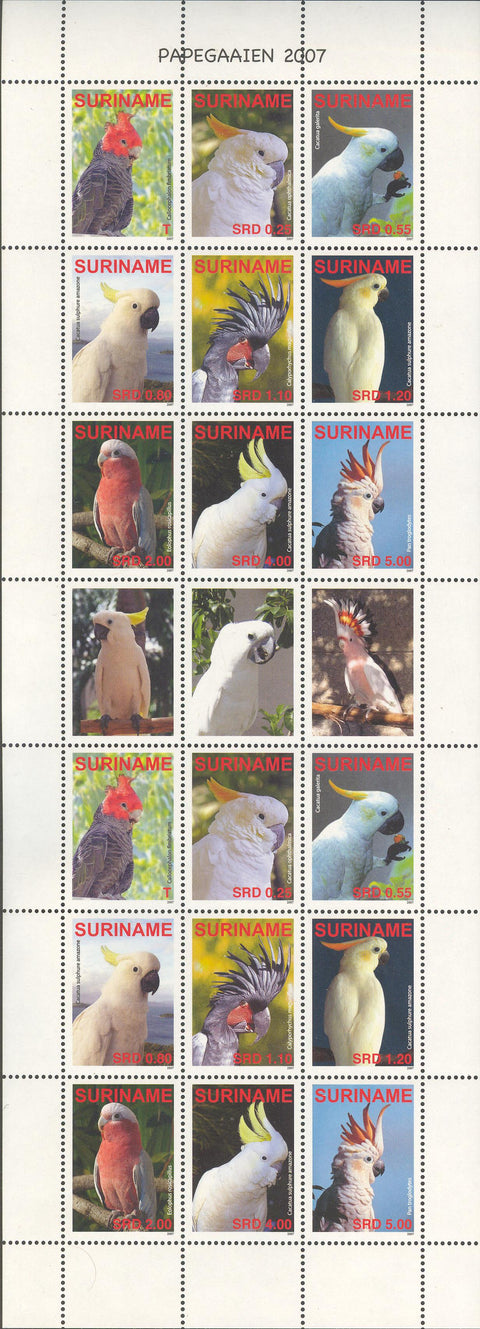 Suriname2007-4ms4
