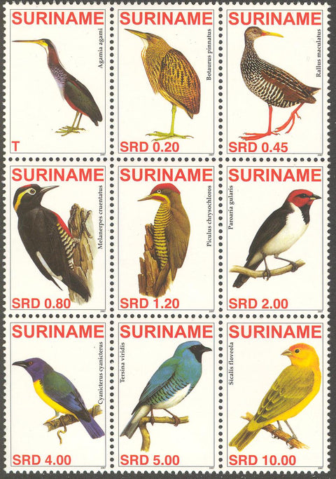 Suriname2007-5