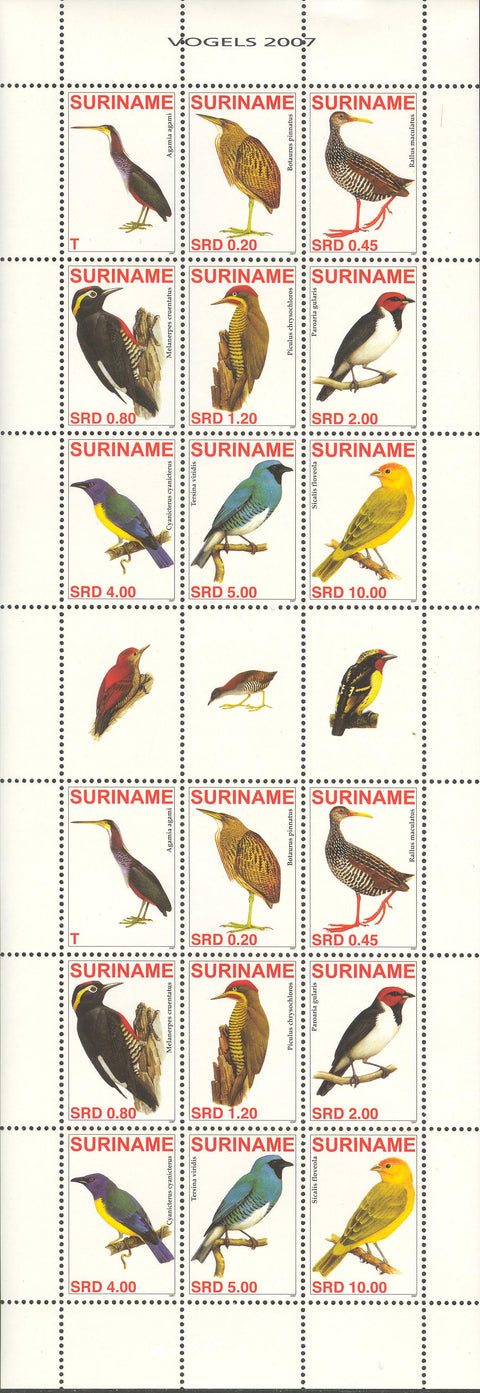 Suriname2007-5ms5